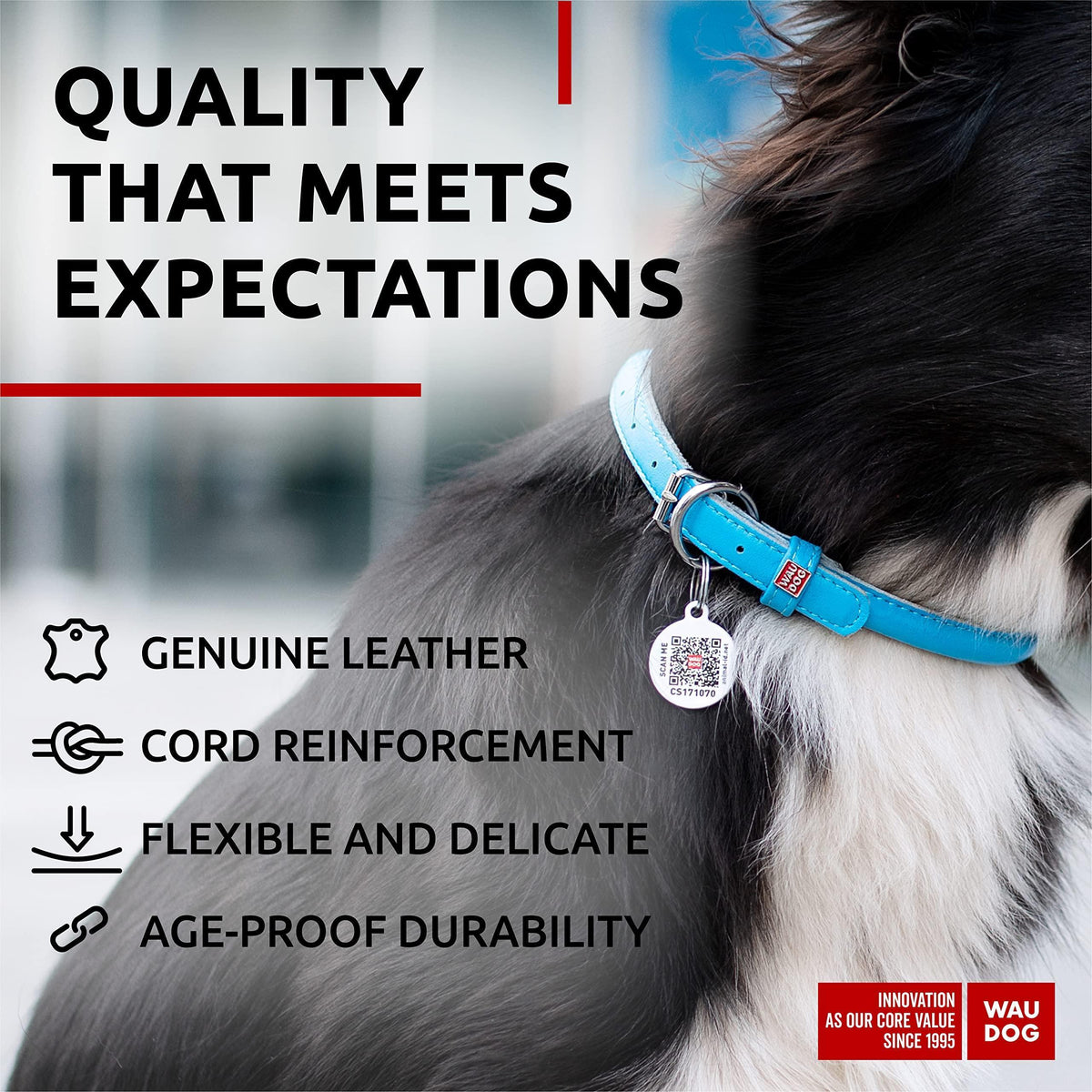 Rolled Leather Dog Collar – Blue, 13–16 in Neck