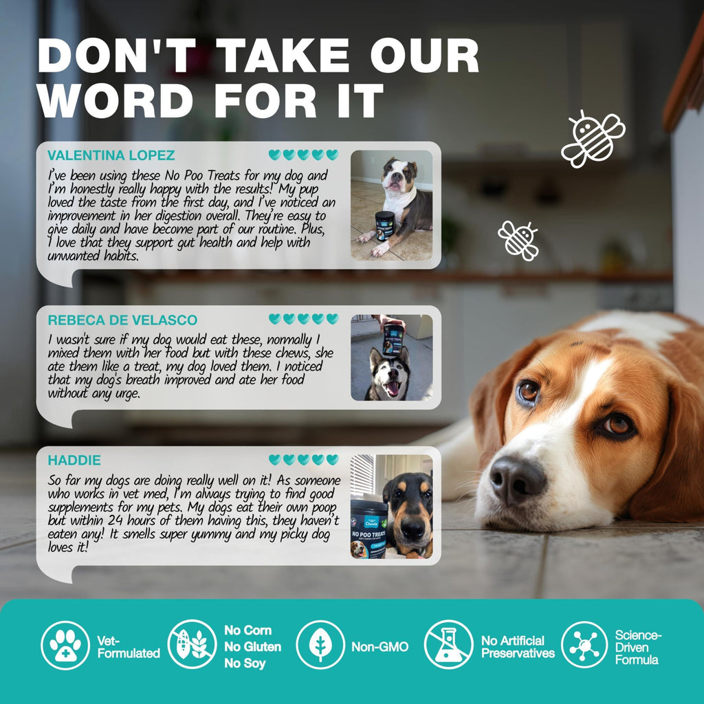 No-Poo Chews for Dogs – Digestive Support & Stool-Eating Deterrent