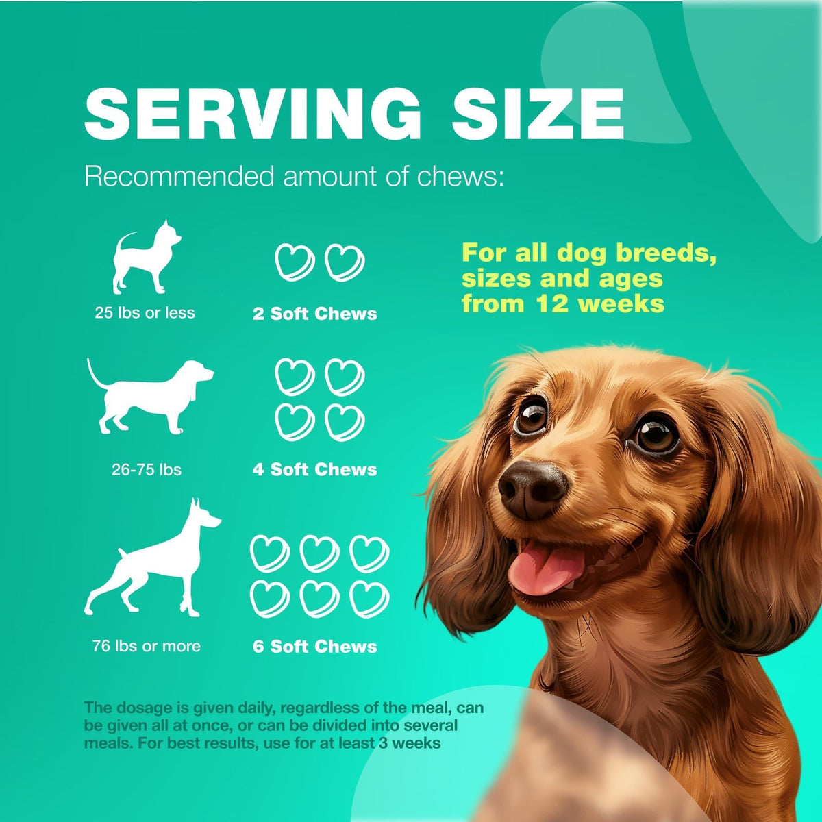 Dog Probiotic Chews – Digestive & Gut Health Support