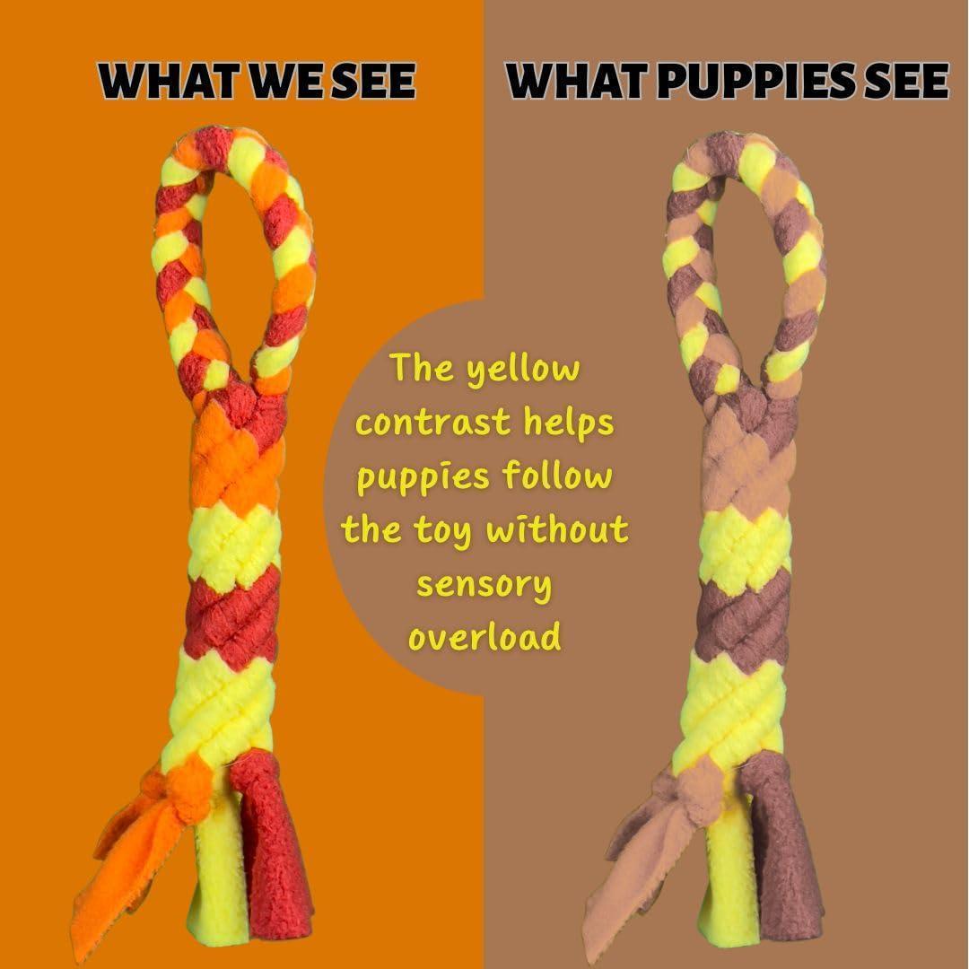 Interactive Dog Tug & Treat Toy – Orange