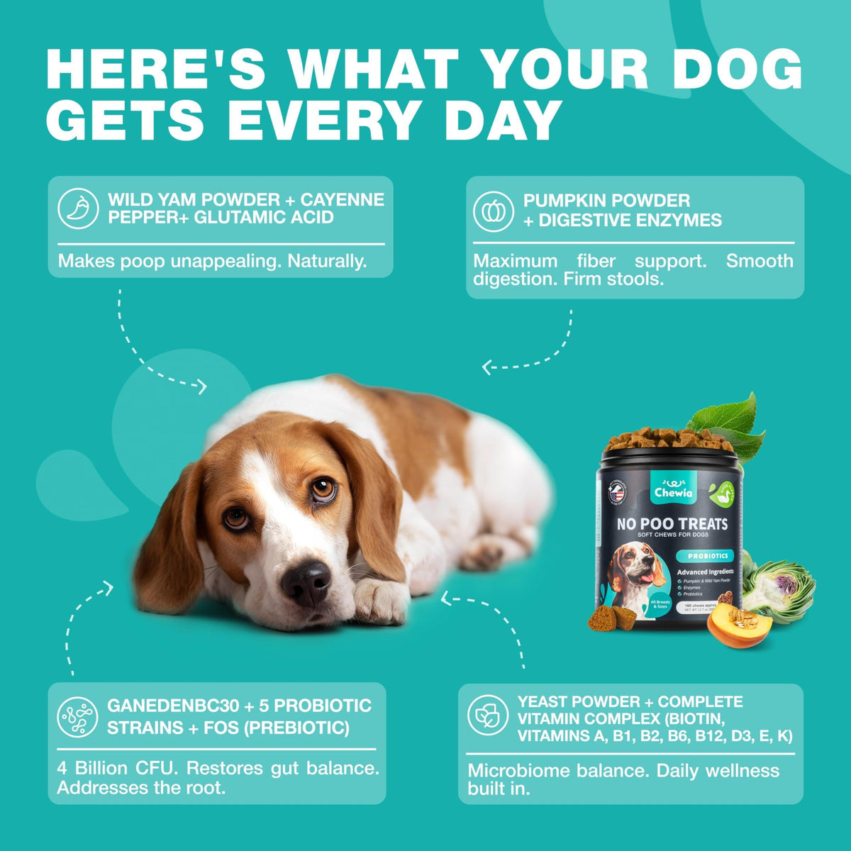 No-Poo Chews for Dogs – Digestive Support & Stool-Eating Deterrent