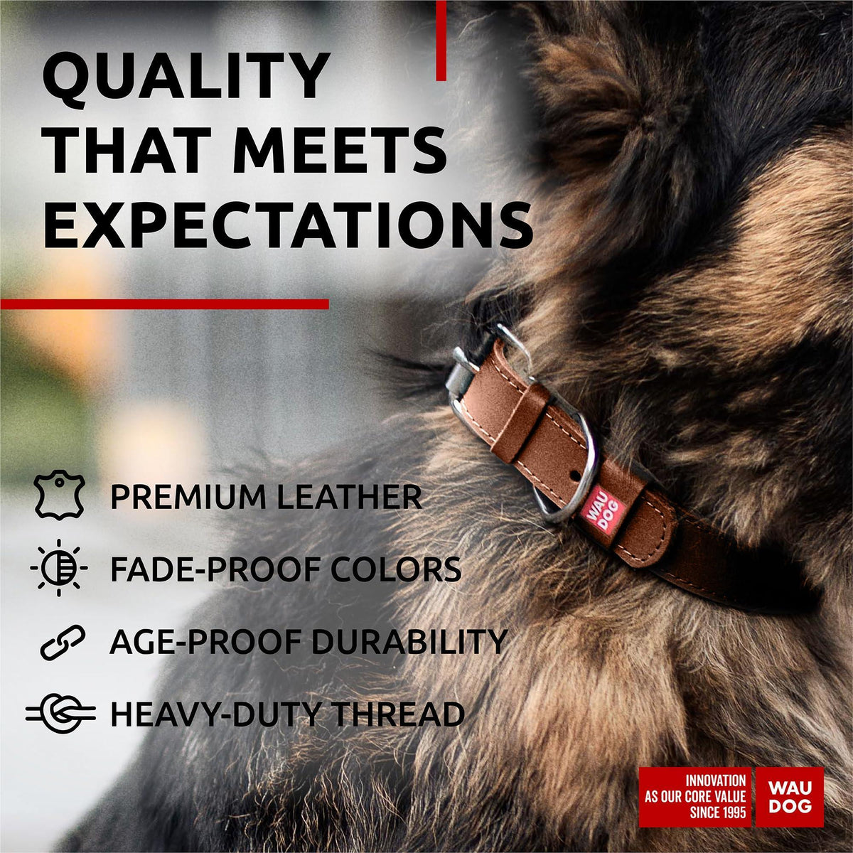 Classic Leather Dog Collar – Brown, 12–15 in Neck