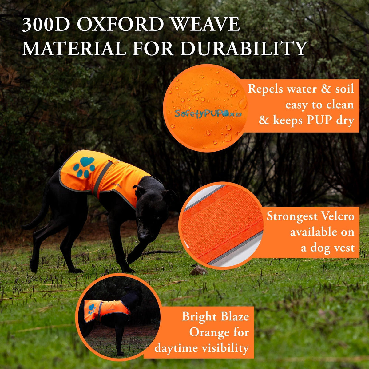 Reflective Dog Safety Vest – Small Orange