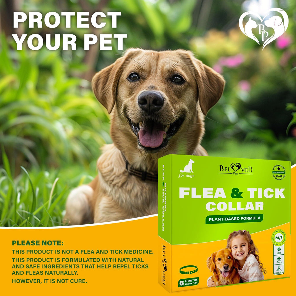 Flea & Tick Collar for Dogs – 1 Pack, Up to 26.5 in