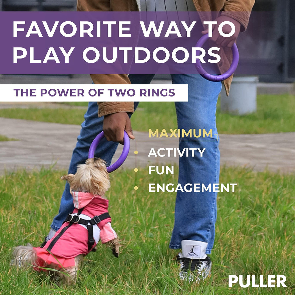 Mini Dog Fetch Rings – Purple 2-Ring Toy