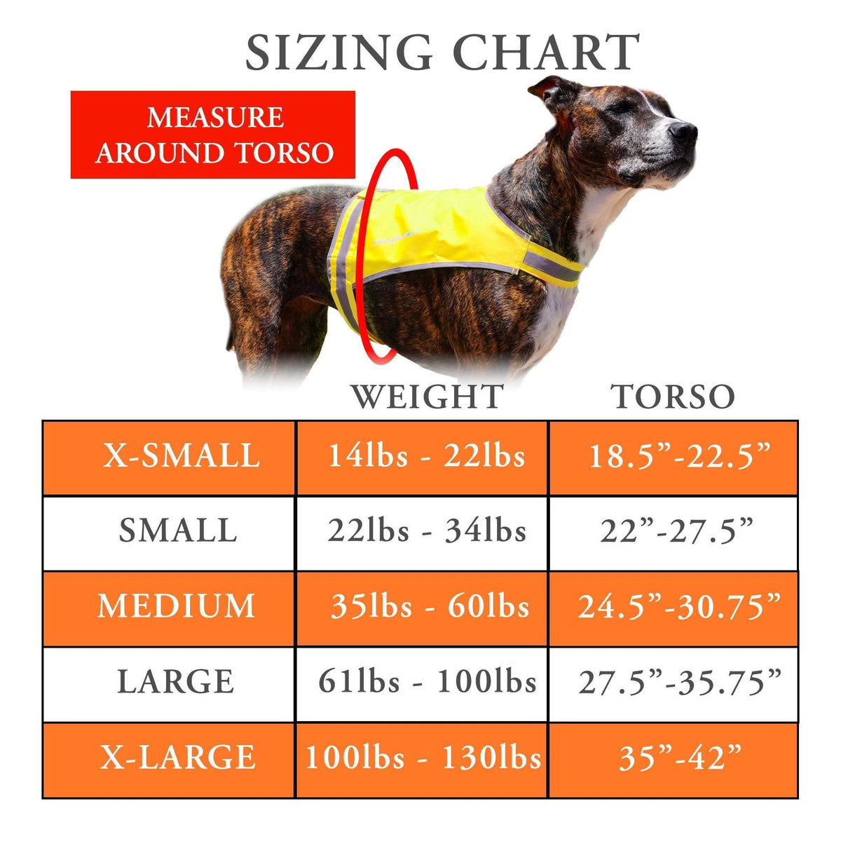 Lightweight Reflective Dog Vest – Large