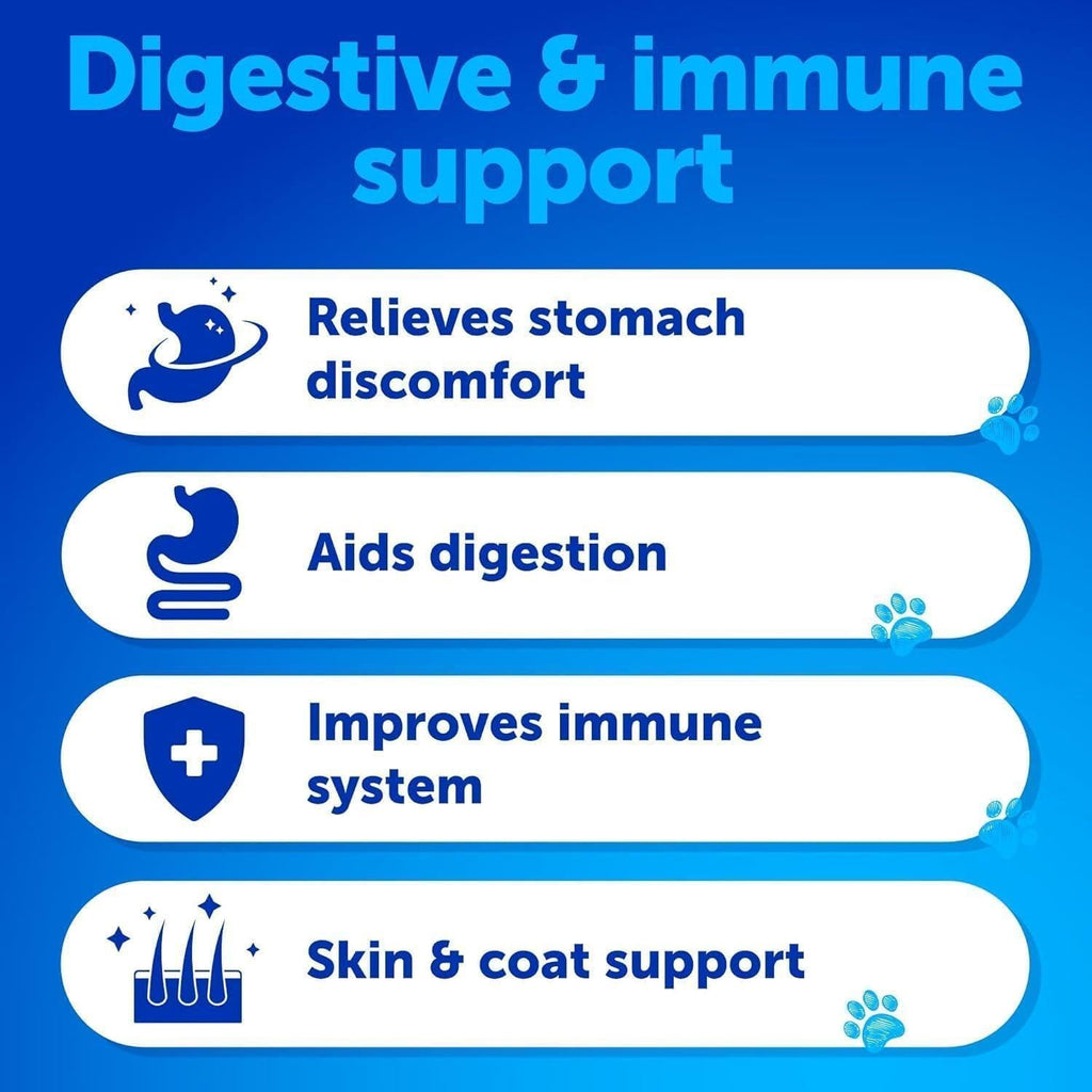Dog Probiotic Chews – Gut, Skin & Immune Support