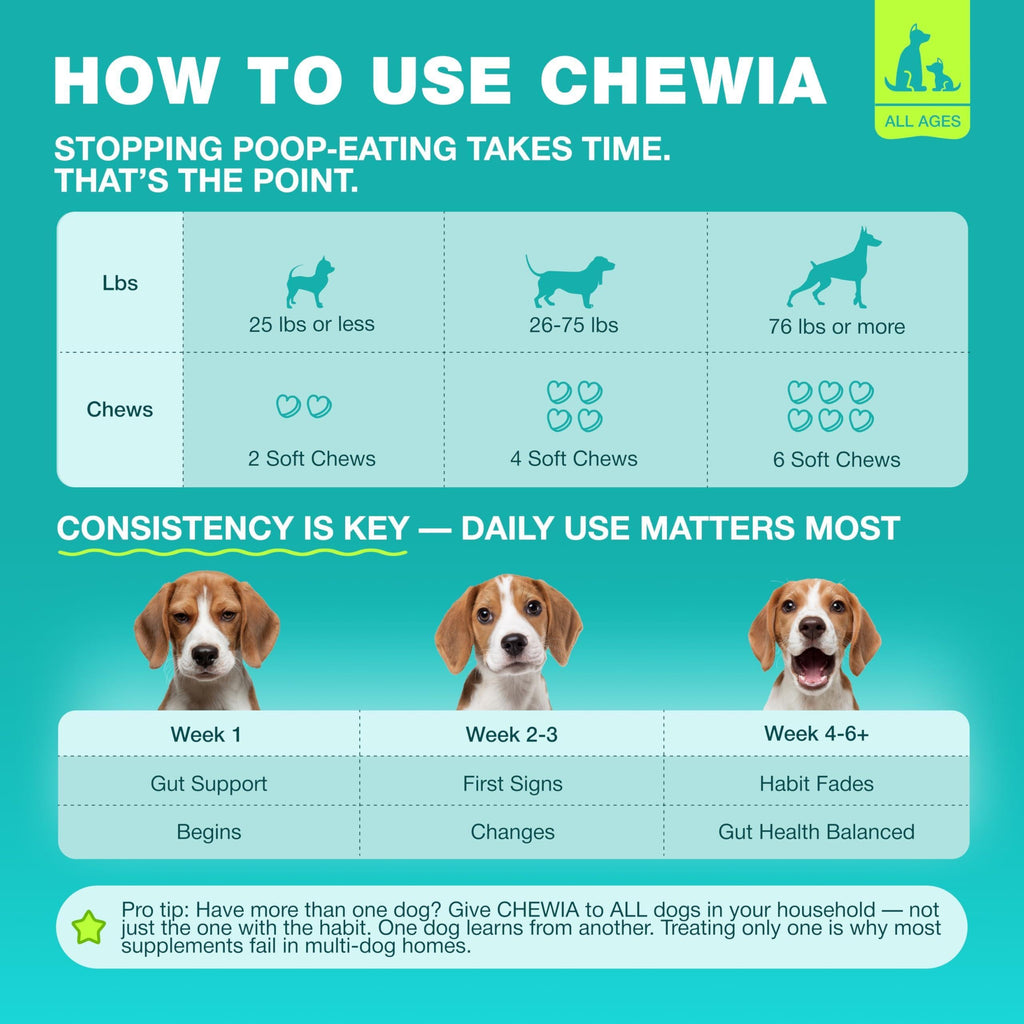 No-Poo Chews for Dogs – Digestive Support & Stool-Eating Deterrent