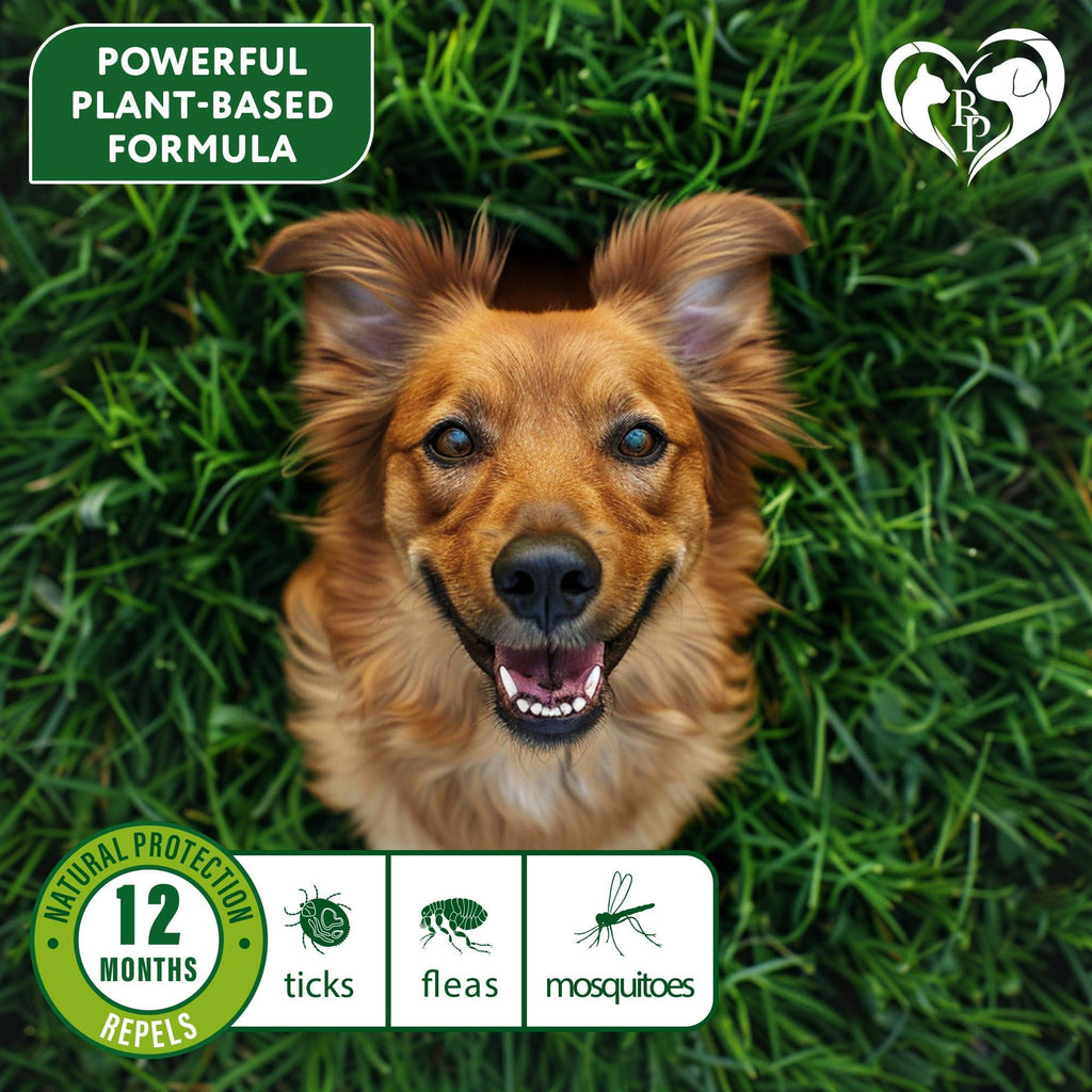 Flea & Tick Collar for Dogs – 2 Pack, Up to 26.5 in