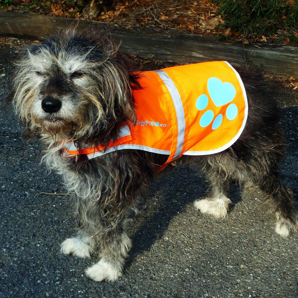 Reflective Dog Safety Vest – Small Orange