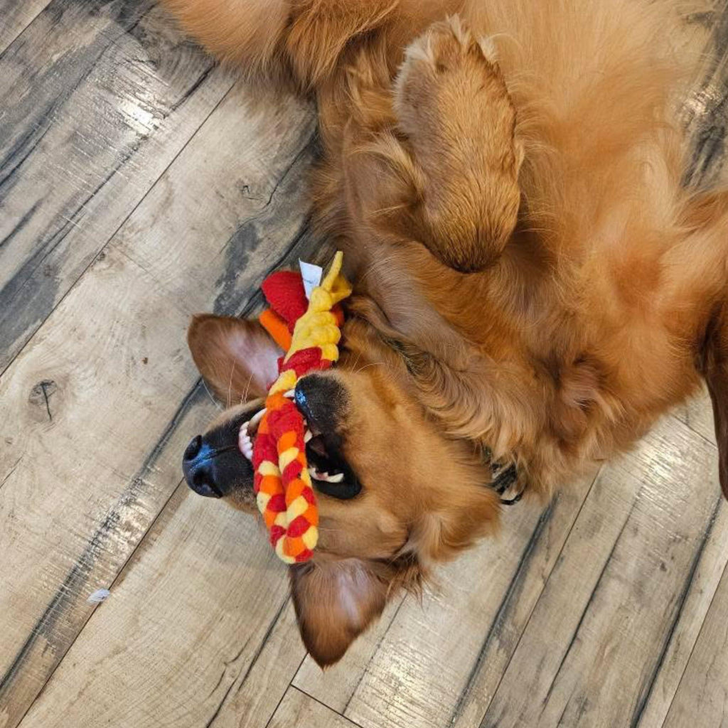 Interactive Dog Tug & Treat Toy – Orange