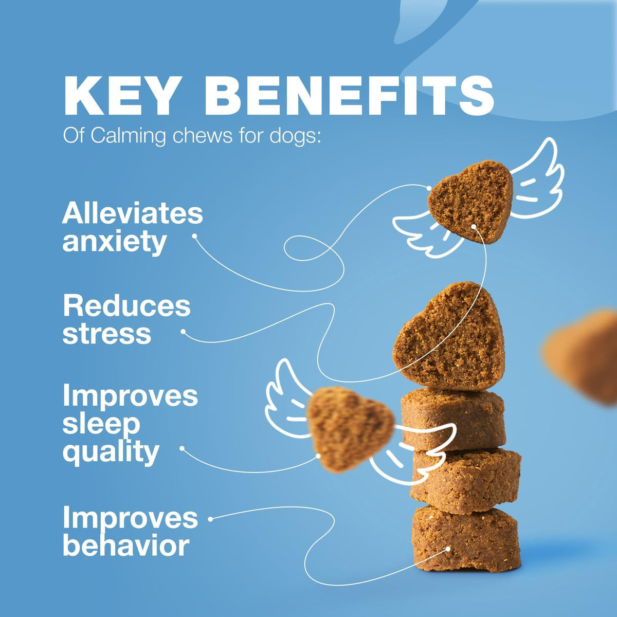 Calming Chews for Dogs Anxiety Relief Melatonin & Valerian Root
