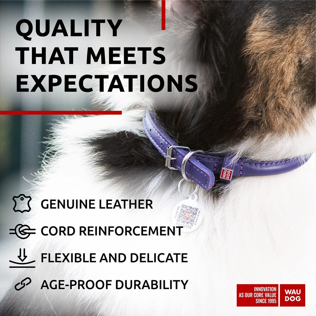 Rolled Leather Dog Collar – Purple, 21–24 in Neck