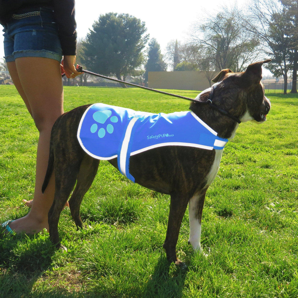 Reflective Dog Safety Vest – Large Blue