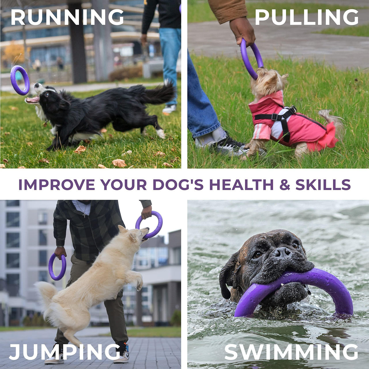 Mini Dog Fetch Rings – Purple 2-Ring Toy