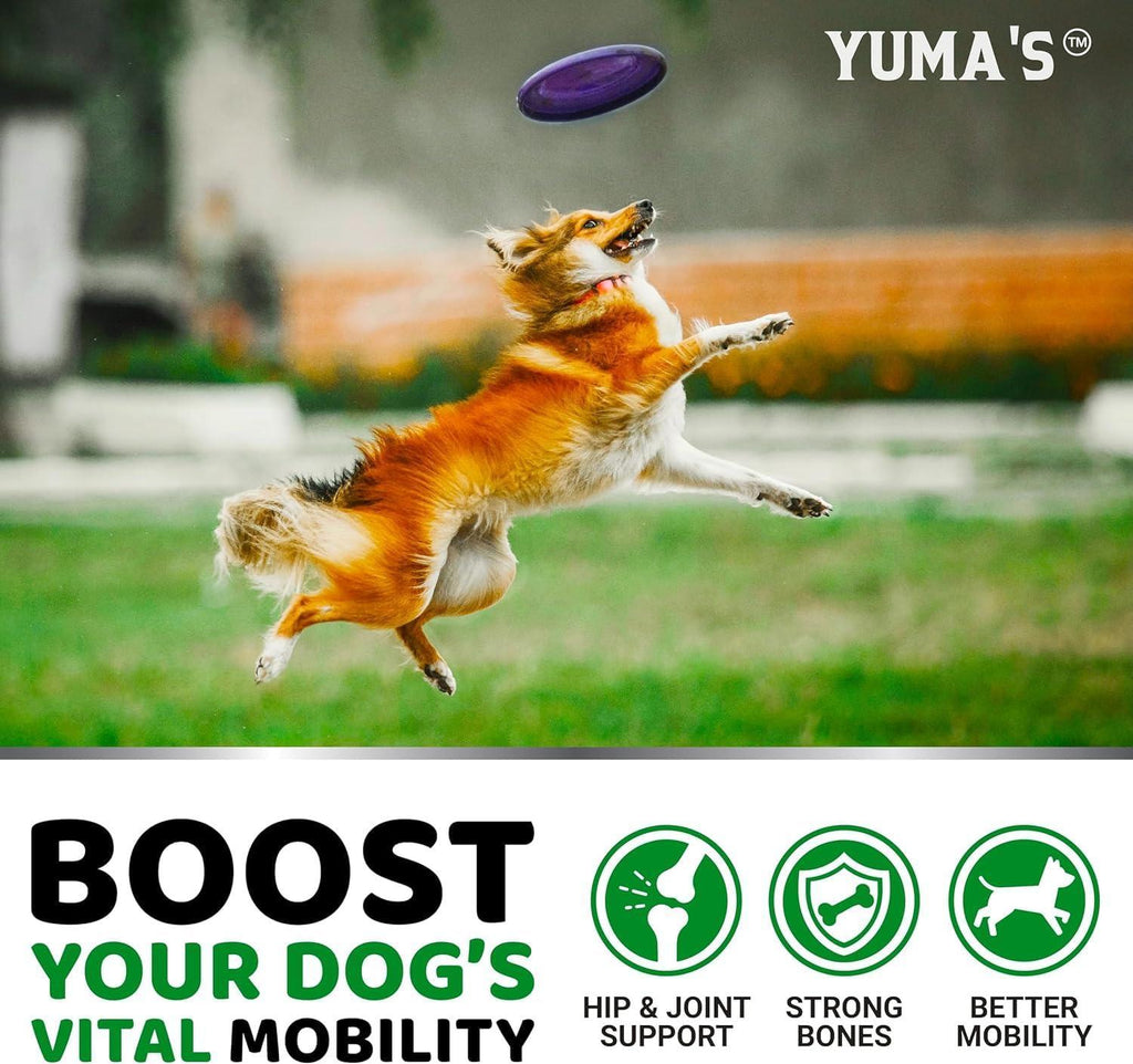 Glucosamine for Dogs – Joint & Mobility Support 2-Pack