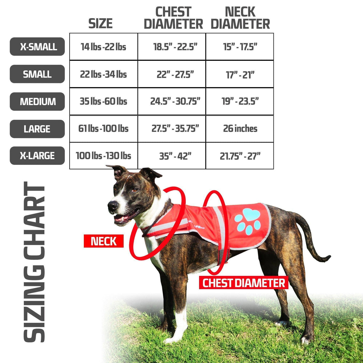 Reflective Dog Safety Vest – Medium Blue