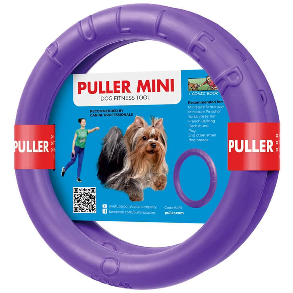 Mini Dog Fetch Rings – Purple 2-Ring Toy