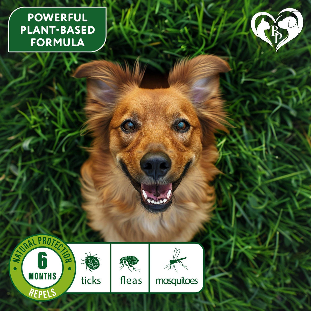 Flea & Tick Collar for Dogs – 1 Pack, Up to 26.5 in
