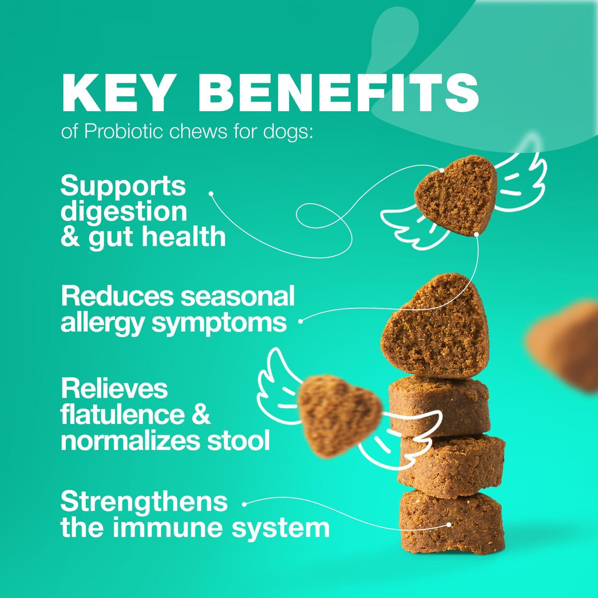 Dog Probiotic Chews – Digestive & Gut Health Support