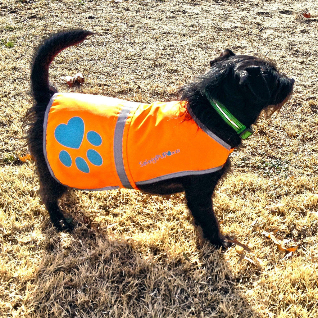 Reflective Dog Safety Vest – Small Orange