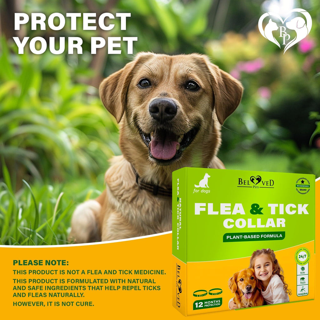 Flea & Tick Collar for Dogs – 2 Pack, Up to 26.5 in