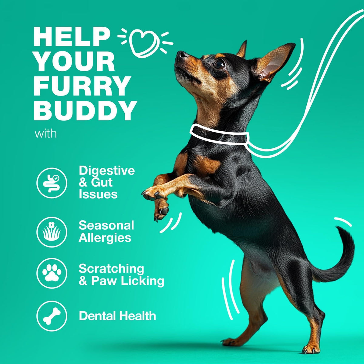 Dog Probiotic Chews – Digestive & Gut Health Support