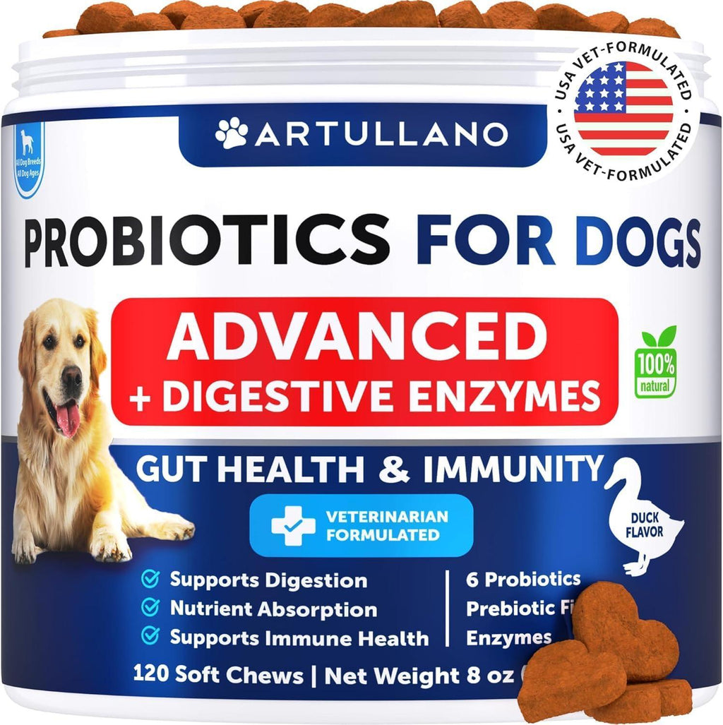 Dog Probiotic Chews – Gut, Skin & Immune Support