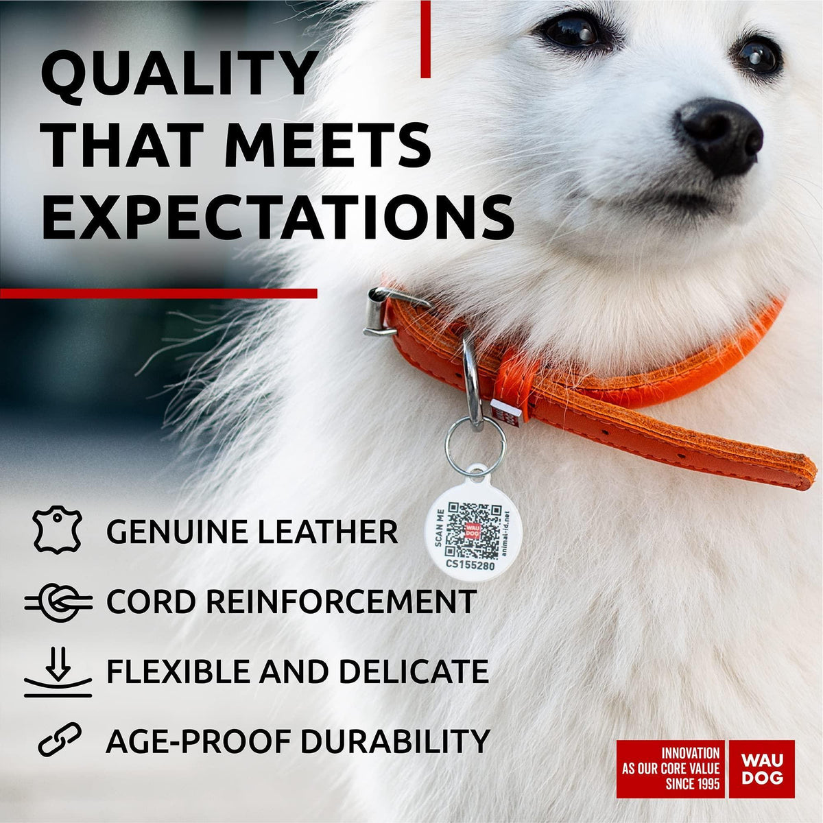 Rolled Leather Dog Collar – Orange, 10–13 in Neck