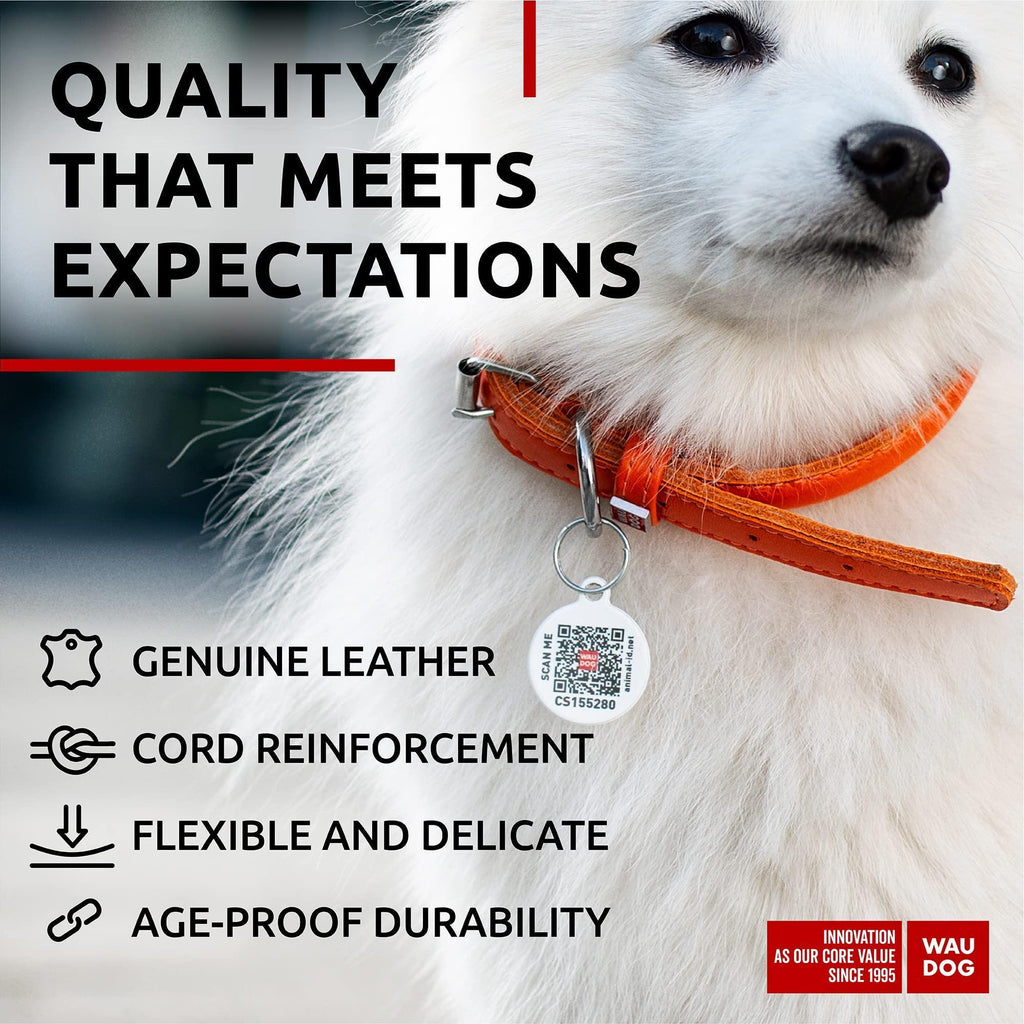 Rolled Leather Dog Collar – Orange, 8–10 in Neck