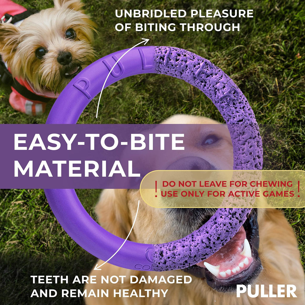 Mini Dog Fetch Rings – Purple 2-Ring Toy