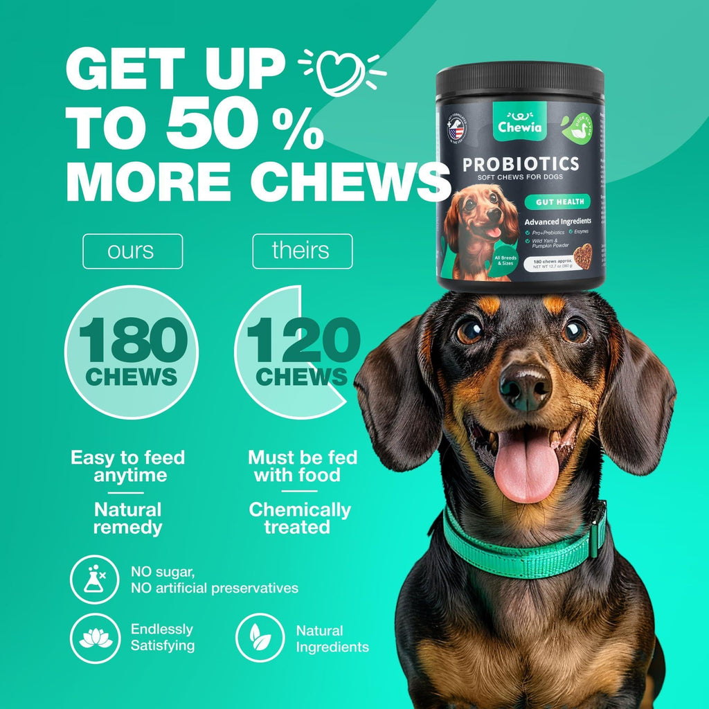 Dog Probiotic Chews – Digestive & Gut Health Support
