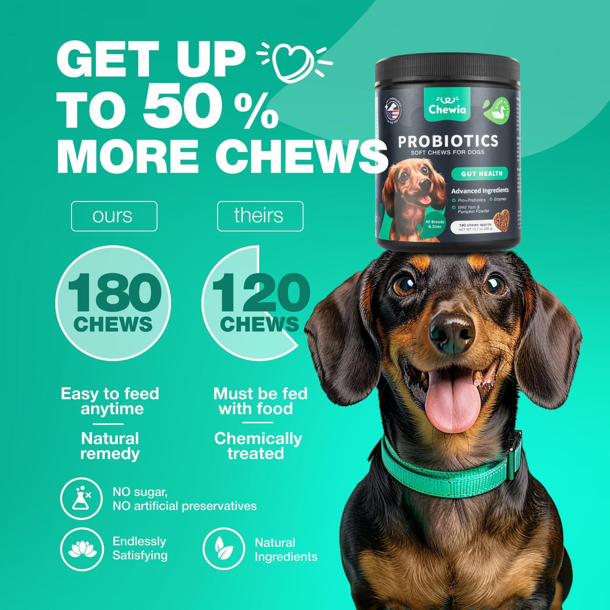 Dog Probiotic Chews – Digestive & Gut Health Support