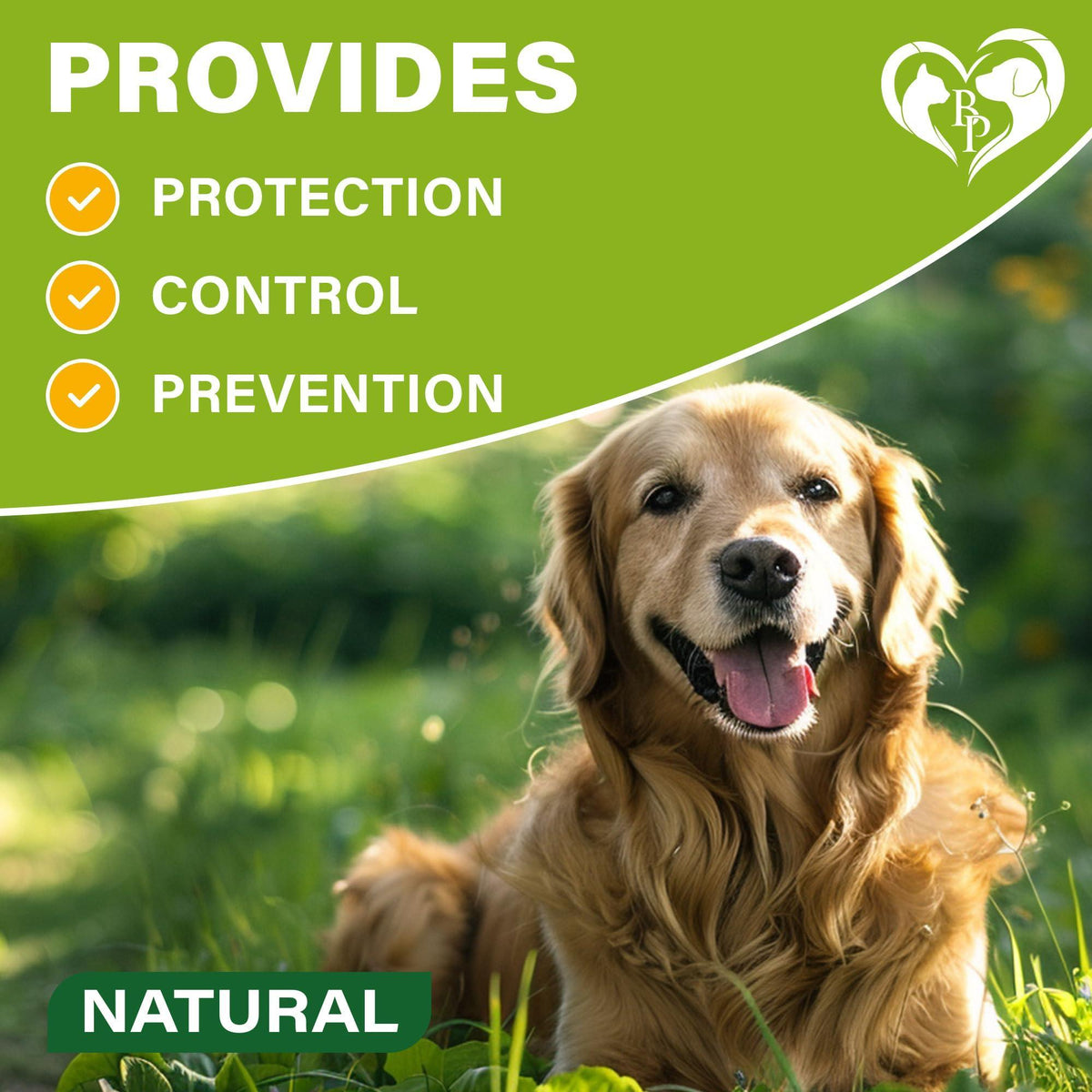 Flea & Tick Collar for Dogs – 1 Pack, Up to 26.5 in