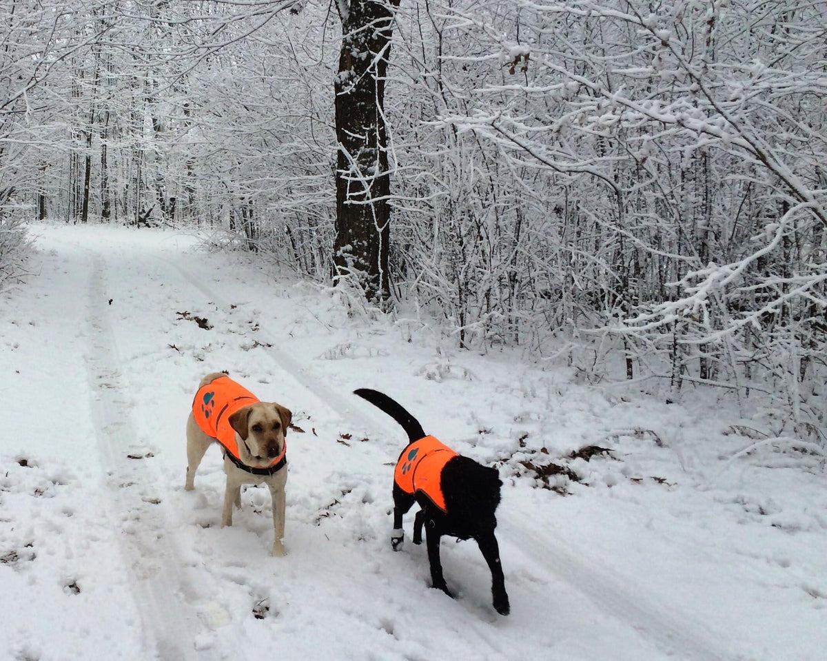 Reflective Dog Safety Vest – Large Orange