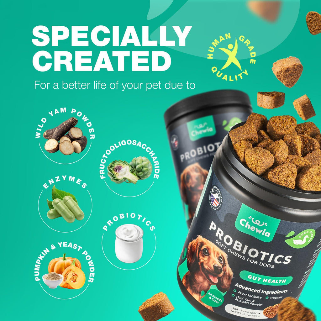 Dog Probiotic Chews – Digestive & Gut Health Support