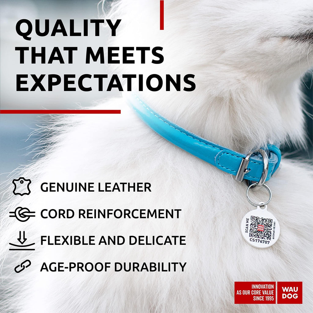 Rolled Leather Dog Collar – Blue, 10–13 in Neck
