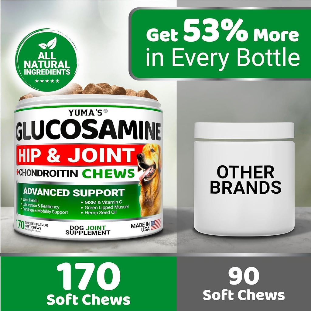 Glucosamine for Dogs – Joint & Mobility Support 2-Pack