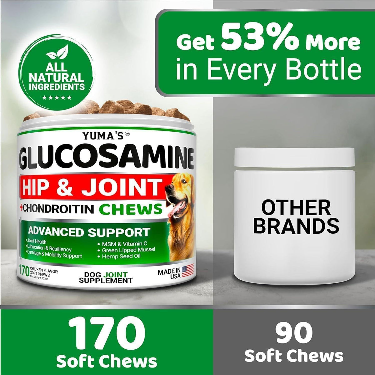 Glucosamine for Dogs – Joint & Mobility Support 2-Pack