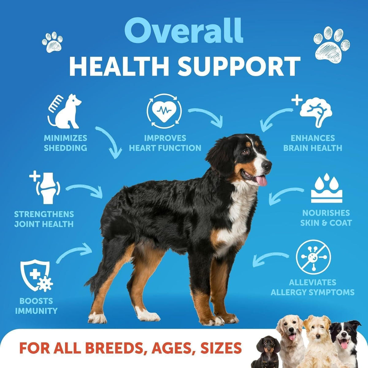 Omega-3 Fish Oil for Dogs – 16 oz Skin, Coat & Joint Support
