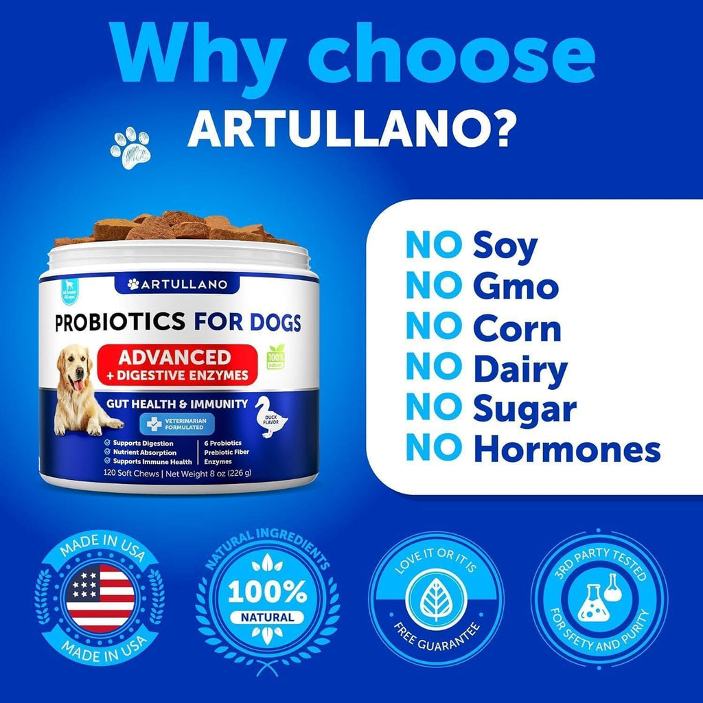 Dog Probiotic Chews – Gut, Skin & Immune Support